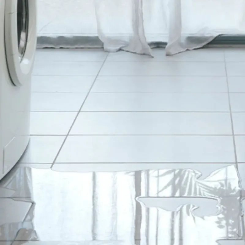 Appliance Leak Cleanup in Alamo, GA