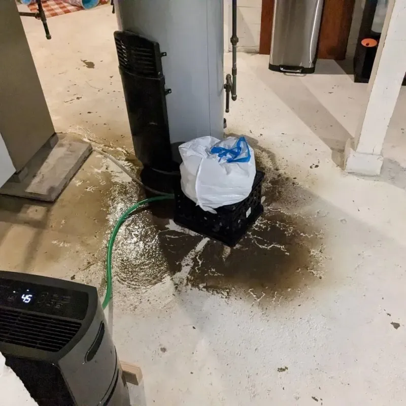 Sewage Backup Cleanup Service in Alamo, GA